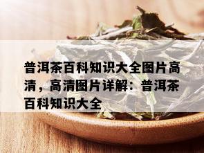 普洱茶百科知识大全图片高清，高清图片详解：普洱茶百科知识大全