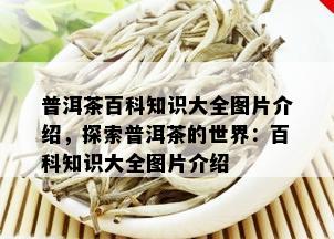 普洱茶百科知识大全图片介绍，探索普洱茶的世界：百科知识大全图片介绍