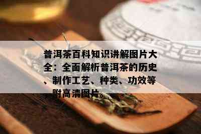 普洱茶百科知识讲解图片大全：全面解析普洱茶的历史、制作工艺、种类、功效等，附高清图片。