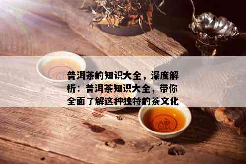 普洱茶的知识大全，深度解析：普洱茶知识大全，带你全面了解这种独特的茶文化