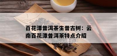 百花潭普洱茶生普古树：云南百花潭普洱茶特点介绍