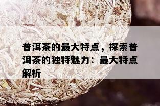 普洱茶的更大特点，探索普洱茶的独特魅力：更大特点解析