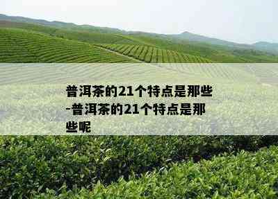 普洱茶的21个特点是那些-普洱茶的21个特点是那些呢