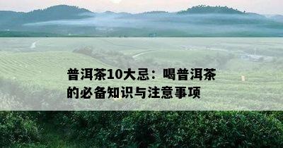 普洱茶10大忌：喝普洱茶的必备知识与注意事项