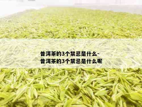 普洱茶的3个禁忌是什么-普洱茶的3个禁忌是什么呢