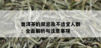 普洱茶的禁忌及不适宜人群：全面解析与注意事项