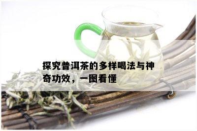 探究普洱茶的多样喝法与神奇功效，一图看懂