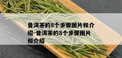 普洱茶的8个步骤图片和介绍-普洱茶的8个步骤图片和介绍