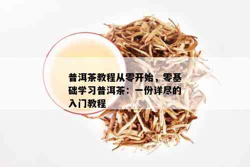 普洱茶教程从零开始，零基础学习普洱茶：一份详尽的入门教程