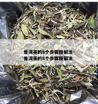 普洱茶的8个步骤图解法-普洱茶的8个步骤图解法