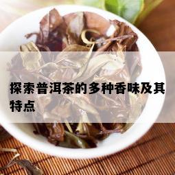 探索普洱茶的多种香味及其特点