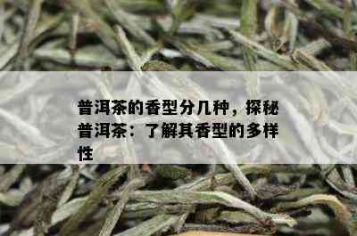 普洱茶的香型分几种，探秘普洱茶：了解其香型的多样性