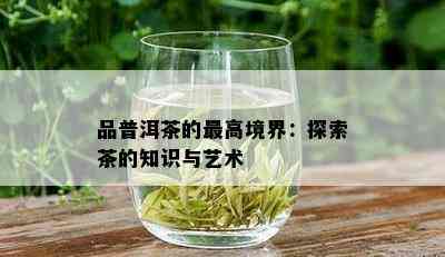 品普洱茶的更高境界：探索茶的知识与艺术