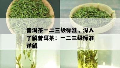 普洱茶一二三级标准，深入了解普洱茶：一二三级标准详解