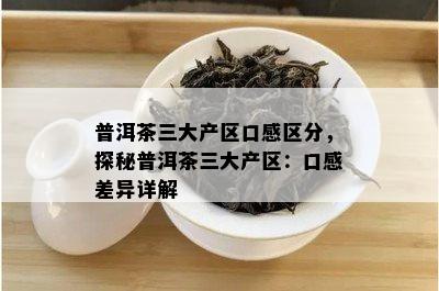 普洱茶三大产区口感区分，探秘普洱茶三大产区：口感差异详解