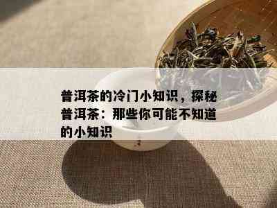 普洱茶的冷门小知识，探秘普洱茶：那些你可能不知道的小知识