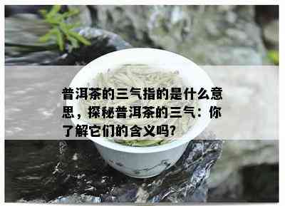 普洱茶的三气指的是什么意思，探秘普洱茶的三气：你了解它们的含义吗？