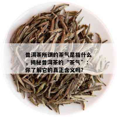 普洱茶所谓的茶气是指什么，揭秘普洱茶的“茶气”：你了解它的真正含义吗？