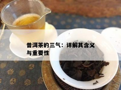 普洱茶的三气：详解其含义与重要性