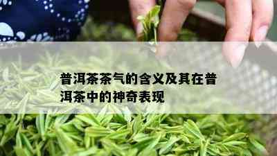 普洱茶茶气的含义及其在普洱茶中的神奇表现