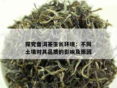 探究普洱茶生长环境：不同土壤对其品质的影响及原因