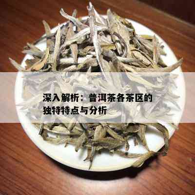 深入解析：普洱茶各茶区的独特特点与分析