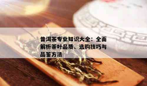 普洱茶专业知识大全：全面解析茶叶品质、选购技巧与品鉴方法