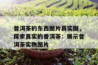 普洱茶的东西图片真实图，探索真实的普洱茶：展示普洱茶实物图片