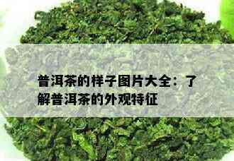 普洱茶的样子图片大全：了解普洱茶的外观特征