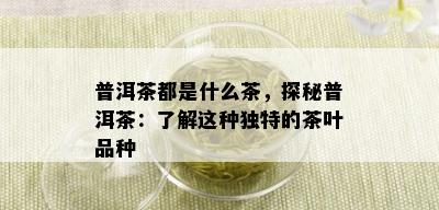 普洱茶都是什么茶，探秘普洱茶：了解这种独特的茶叶品种