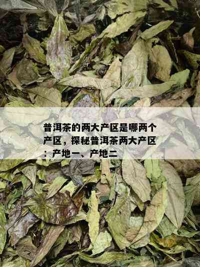 普洱茶的两大产区是哪两个产区，探秘普洱茶两大产区：产地一、产地二