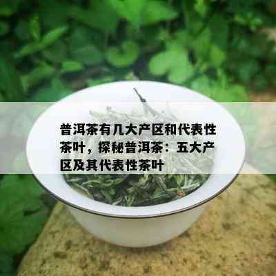 普洱茶有几大产区和代表性茶叶，探秘普洱茶：五大产区及其代表性茶叶