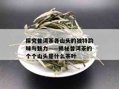 探究普洱茶各山头的独特韵味与魅力——揭秘普洱茶的个个山头是什么茶叶