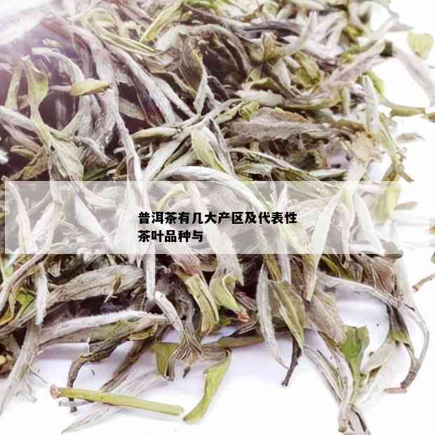 普洱茶有几大产区及代表性茶叶品种与