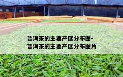 普洱茶的主要产区分布图-普洱茶的主要产区分布图片