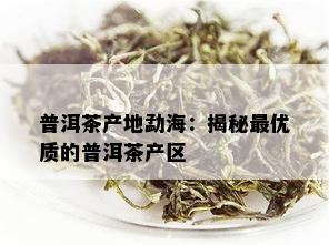 普洱茶产地勐海：揭秘更优质的普洱茶产区