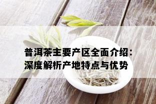 普洱茶主要产区全面介绍：深度解析产地特点与优势