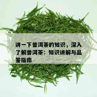 讲一下普洱茶的知识，深入了解普洱茶：知识讲解与品鉴指南