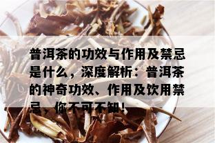 普洱茶的功效与作用及禁忌是什么，深度解析：普洱茶的神奇功效、作用及饮用禁忌，你不可不知！