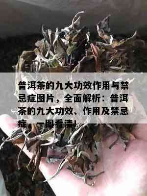 普洱茶的九大功效作用与禁忌症图片，全面解析：普洱茶的九大功效、作用及禁忌症，一图看清！