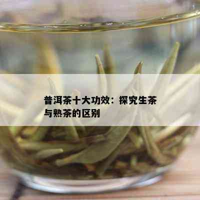 普洱茶十大功效：探究生茶与熟茶的区别