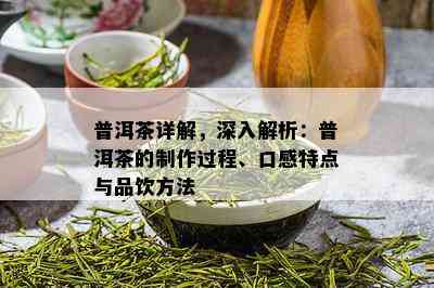 普洱茶详解，深入解析：普洱茶的制作过程、口感特点与品饮方法