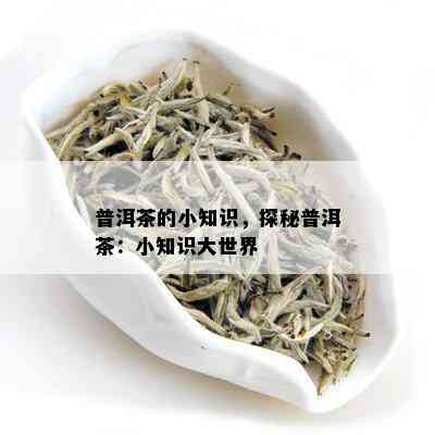 普洱茶的小知识，探秘普洱茶：小知识大世界