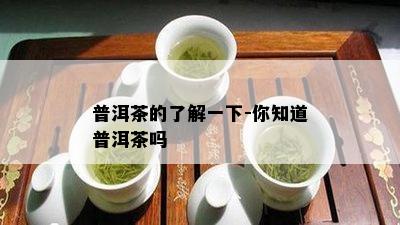 普洱茶的了解一下-你知道普洱茶吗