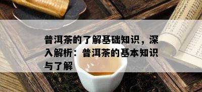 普洱茶的了解基础知识，深入解析：普洱茶的基本知识与了解