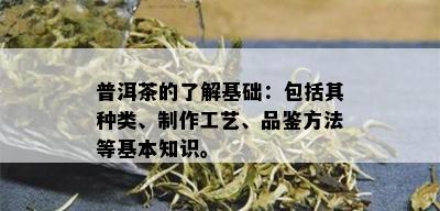 普洱茶的了解基础：包括其种类、制作工艺、品鉴方法等基本知识。