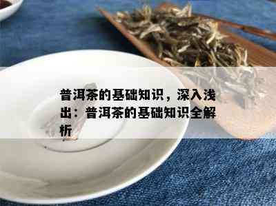 普洱茶的基础知识，深入浅出：普洱茶的基础知识全解析