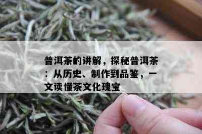 普洱茶的讲解，探秘普洱茶：从历史、制作到品鉴，一文读懂茶文化瑰宝