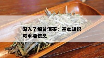 深入了解普洱茶：基本知识与重要信息