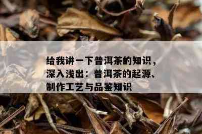 给我讲一下普洱茶的知识，深入浅出：普洱茶的起源、制作工艺与品鉴知识